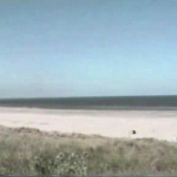 1997 compleet Strand-training.avi_000240321